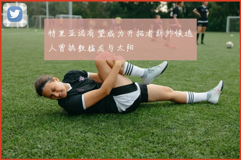 特里亚诺有望成为开拓者新帅候选人曾执教猛龙与太阳
